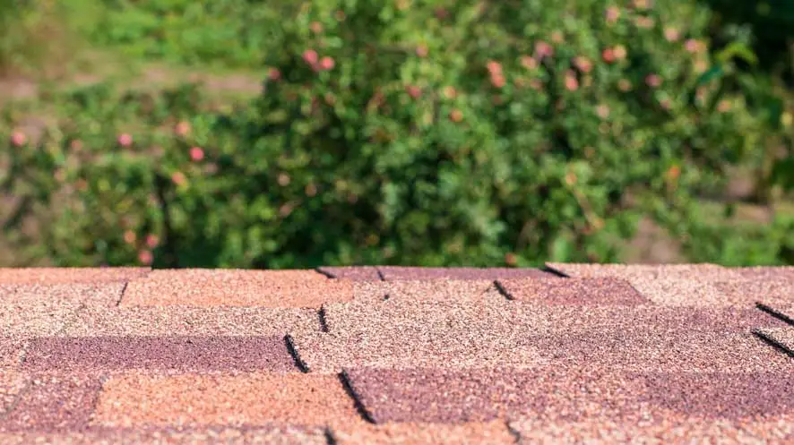 How suitable Shingles Roofing in Kerala